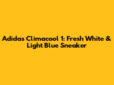Adidas Climacool 1: Fresh White & Light Blue Sneaker