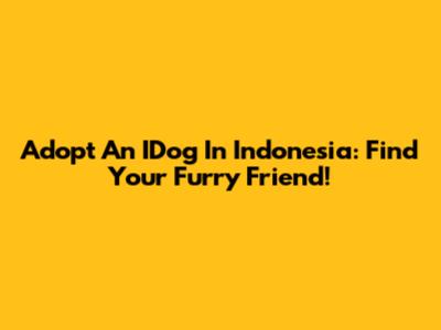 Adopt An IDog In Indonesia: Find Your Furry Friend!