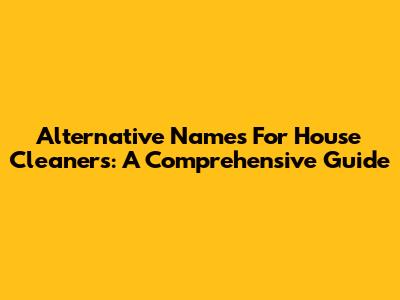 Alternative Names For House Cleaners: A Comprehensive Guide