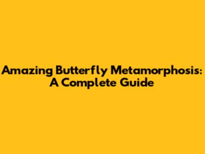 Amazing Butterfly Metamorphosis: A Complete Guide