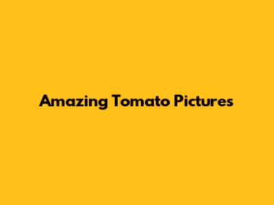 Amazing Tomato Pictures