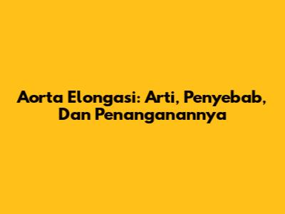 Aorta Elongasi: Arti, Penyebab, Dan Penanganannya