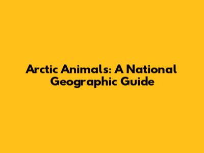 Arctic Animals: A National Geographic Guide