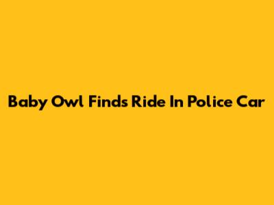 Baby Owl Finds Ride In Police Car