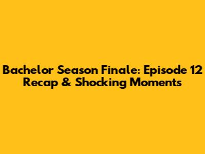 Bachelor Season Finale: Episode 12 Recap & Shocking Moments