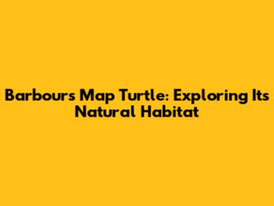 Barbour's Map Turtle: Exploring Its Natural Habitat