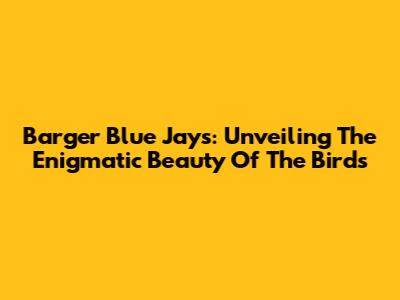 Barger Blue Jays: Unveiling The Enigmatic Beauty Of The Birds