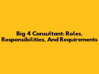 Big 4 Consultant: Roles, Responsibilities, And Requirements
