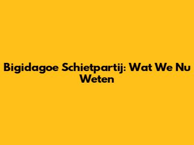 Bigidagoe Schietpartij: Wat We Nu Weten