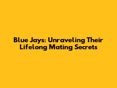 Blue Jays: Unraveling Their Lifelong Mating Secrets
