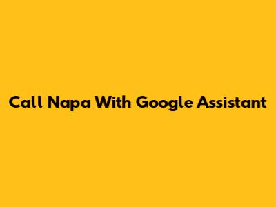 Call Napa With Google Assistant