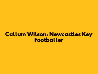 Callum Wilson: Newcastle's Key Footballer
