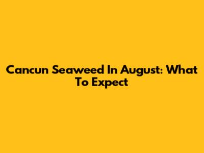 Cancun Seaweed In August: What To Expect