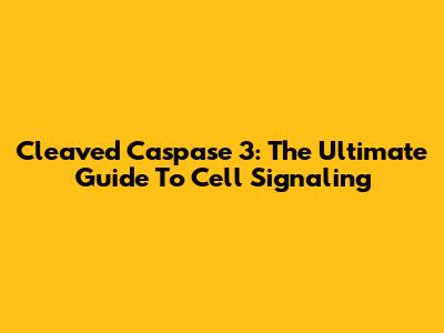 Cleaved Caspase 3: The Ultimate Guide To Cell Signaling