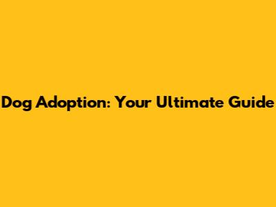 Dog Adoption: Your Ultimate Guide