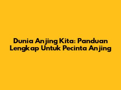 Dunia Anjing Kita: Panduan Lengkap Untuk Pecinta Anjing
