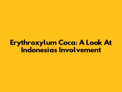 Erythroxylum Coca: A Look At Indonesia's Involvement