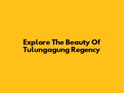 Explore The Beauty Of Tulungagung Regency