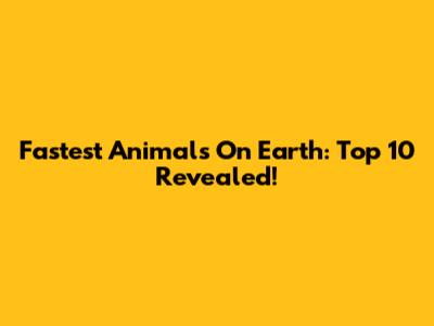 Fastest Animals On Earth: Top 10 Revealed!