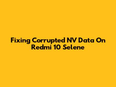 Fixing Corrupted NV Data On Redmi 10 Selene