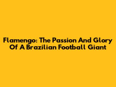 Flamengo: The Passion And Glory Of A Brazilian Football Giant