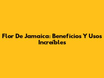 Flor De Jamaica: Beneficios Y Usos Increíbles