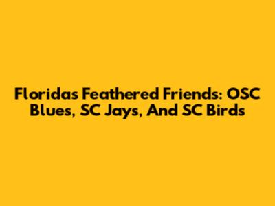 Florida's Feathered Friends: OSC Blues, SC Jays, And SC Birds