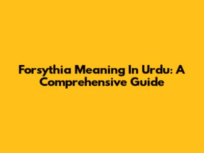 Forsythia Meaning In Urdu: A Comprehensive Guide