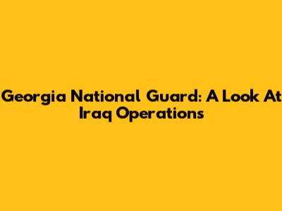 Georgia National Guard: A Look At Iraq Operations