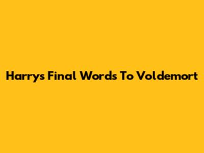 Harry's Final Words To Voldemort