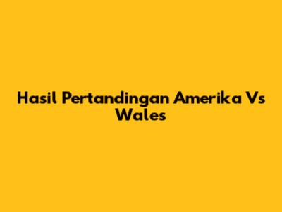 Hasil Pertandingan Amerika Vs Wales