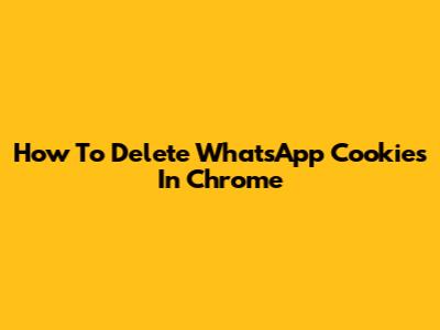 How To Delete WhatsApp Cookies In Chrome