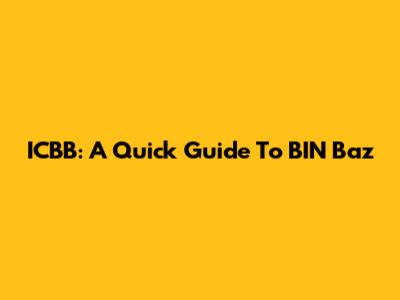 ICBB: A Quick Guide To BIN Baz