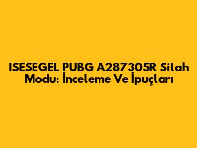 ISESEGEL PUBG A287305R Silah Modu: İnceleme Ve İpuçları