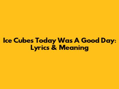 Ice Cube's "Today Was A Good Day": Lyrics & Meaning