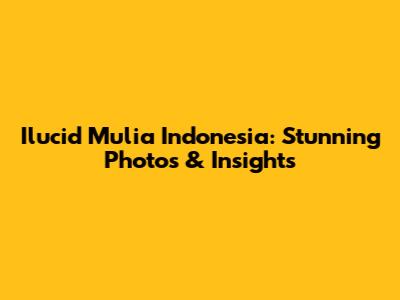 Ilucid Mulia Indonesia: Stunning Photos & Insights