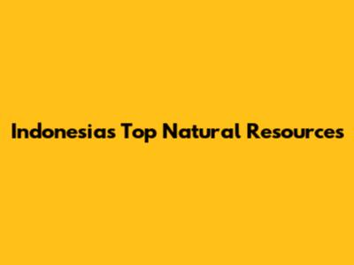 Indonesia's Top Natural Resources