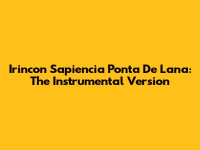 Irincon Sapiencia Ponta De Lana: The Instrumental Version