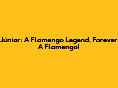 Júnior: A Flamengo Legend, Forever A Flamengo!