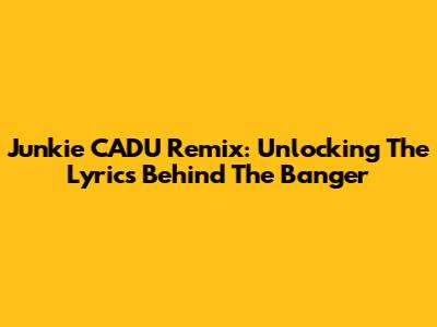 Junkie CADU Remix: Unlocking The Lyrics Behind The Banger