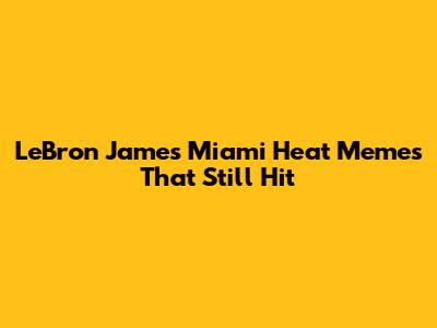 LeBron James Miami Heat Memes That Still Hit