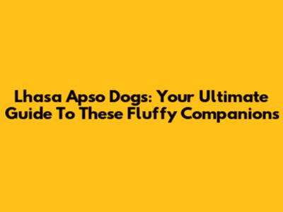 Lhasa Apso Dogs: Your Ultimate Guide To These Fluffy Companions
