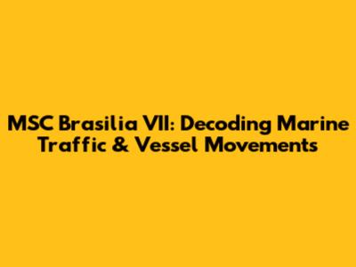 MSC Brasilia VII: Decoding Marine Traffic & Vessel Movements
