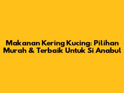 Makanan Kering Kucing: Pilihan Murah & Terbaik Untuk Si Anabul