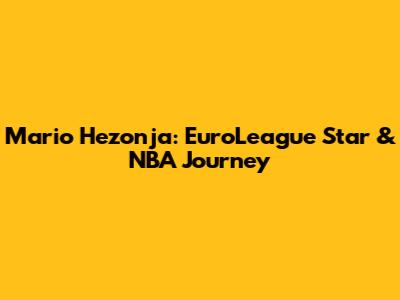 Mario Hezonja: EuroLeague Star & NBA Journey