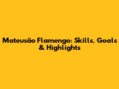 Mateusão Flamengo: Skills, Goals & Highlights