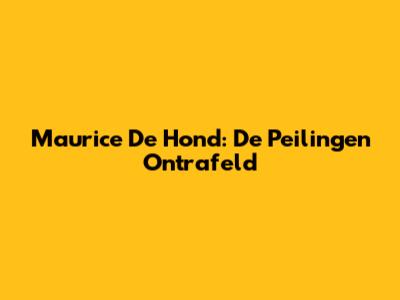 Maurice De Hond: De Peilingen Ontrafeld