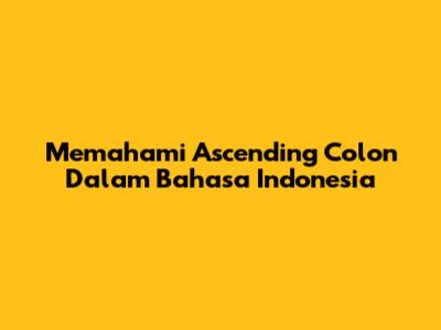 Memahami 'Ascending Colon' Dalam Bahasa Indonesia