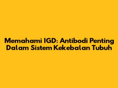 Memahami IGD: Antibodi Penting Dalam Sistem Kekebalan Tubuh