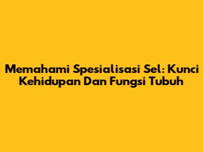 Memahami Spesialisasi Sel: Kunci Kehidupan Dan Fungsi Tubuh